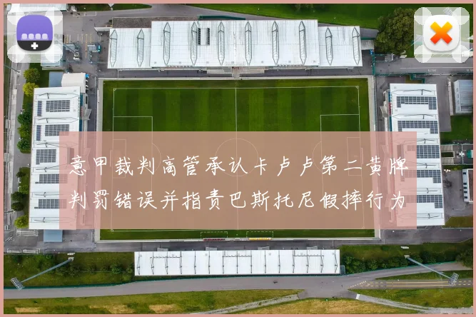 意甲裁判高管承认卡卢卢第二黄牌判罚错误并指责巴斯托尼假摔行为